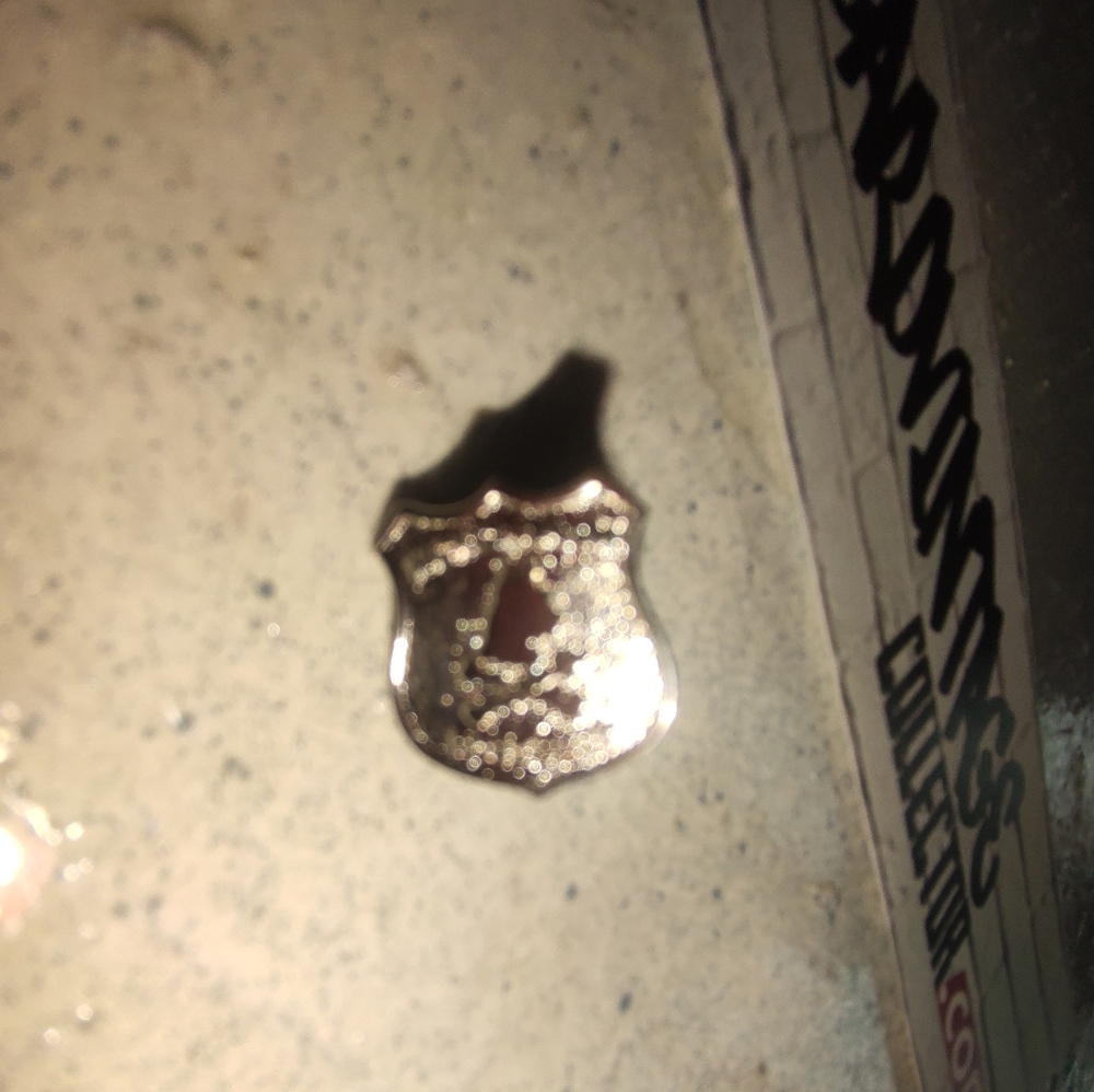 Coat of Arms Pin for Suit
